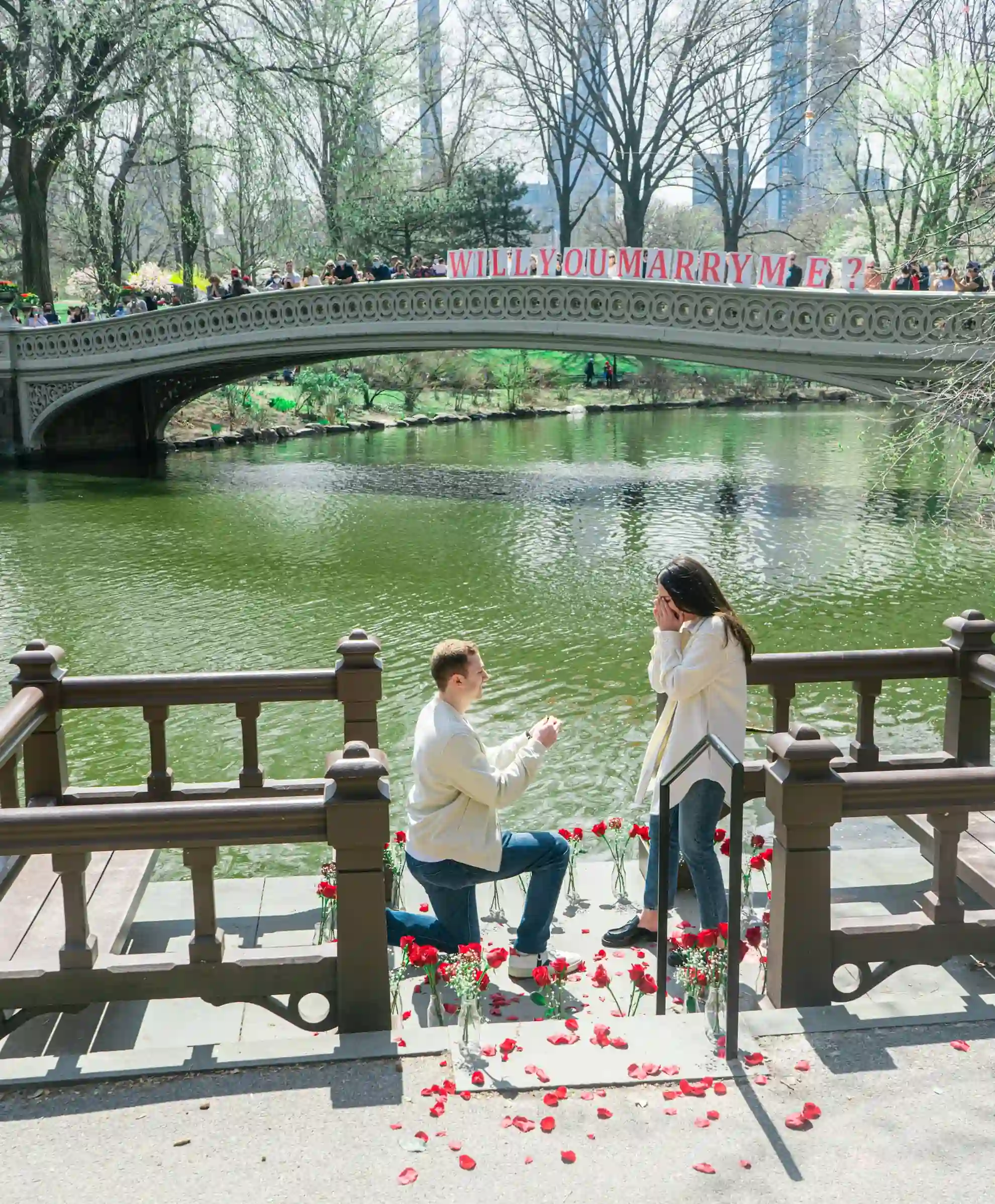 Best Places to Propose Central Park