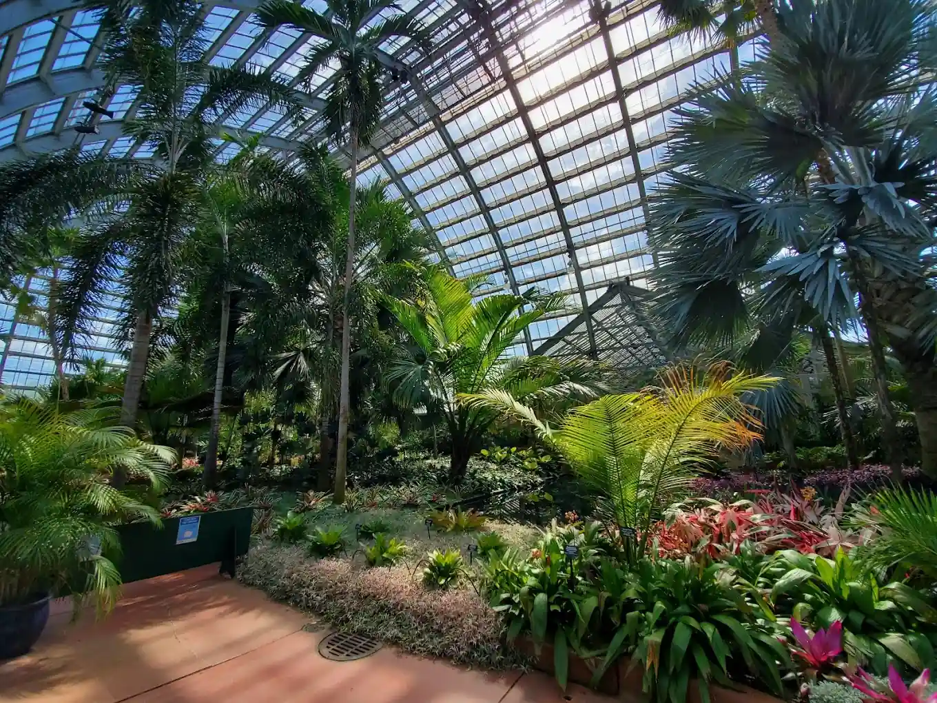 Garfield Park Conservatory