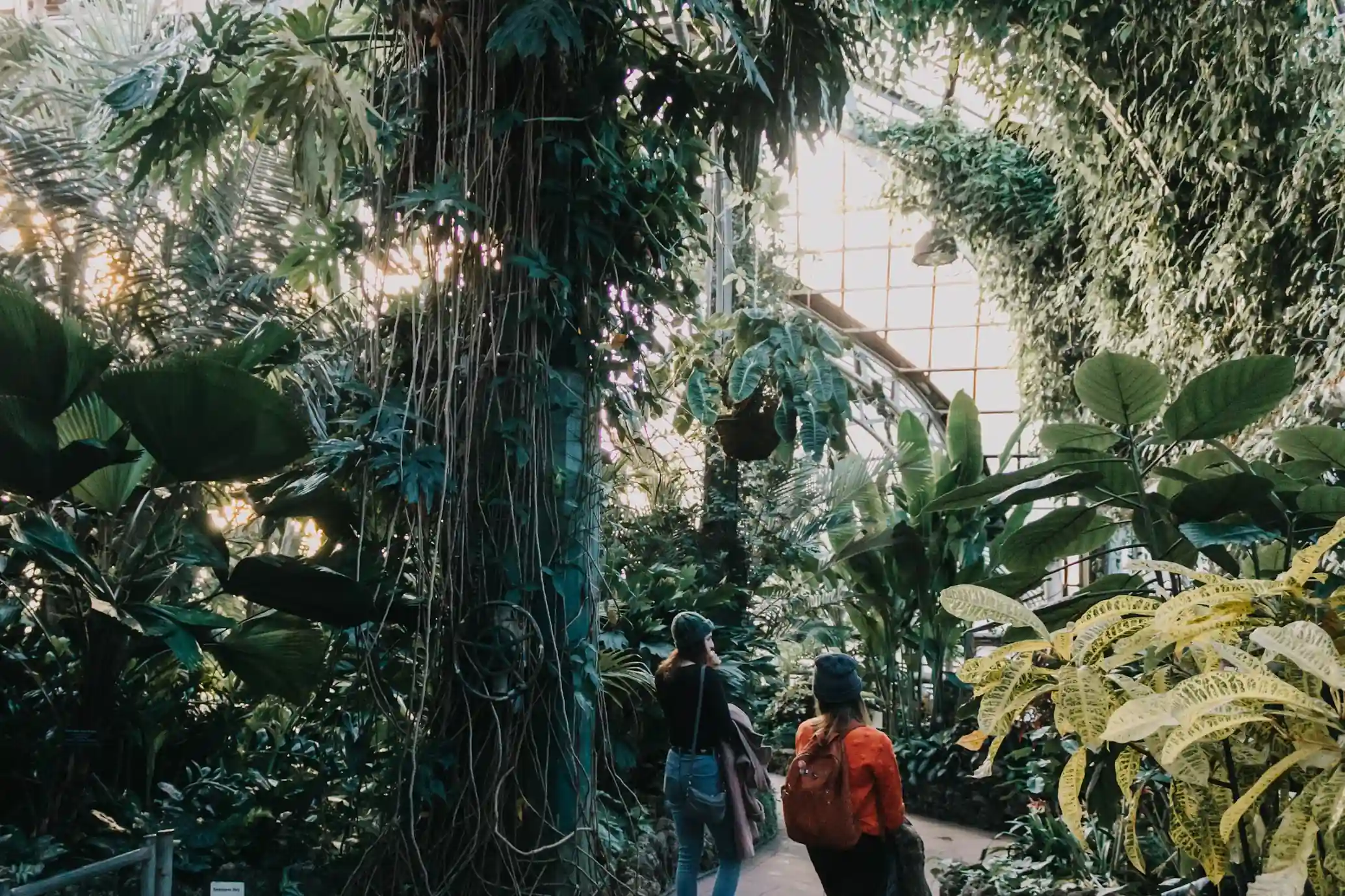 2. Lincoln Park Conservatory 