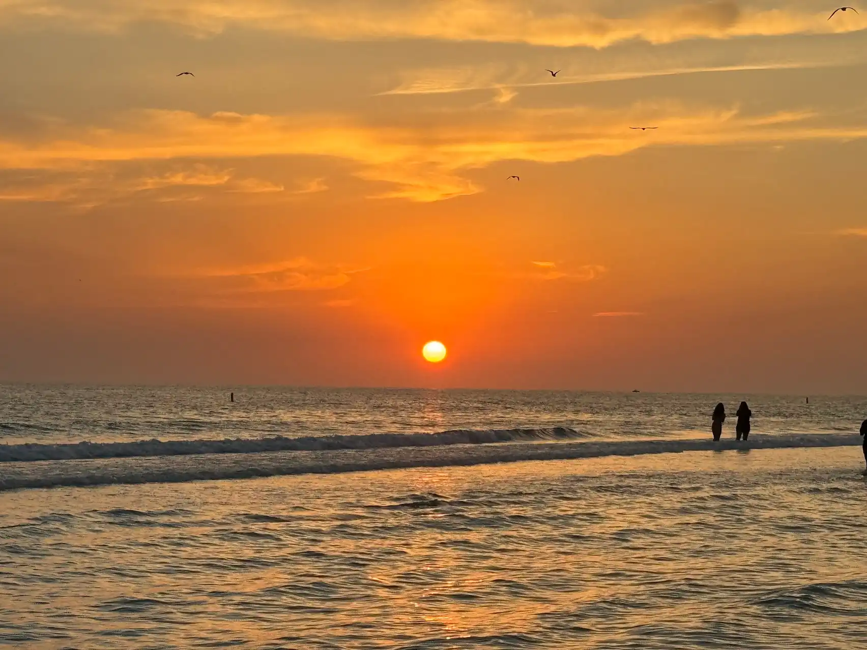 Siesta Key Beach